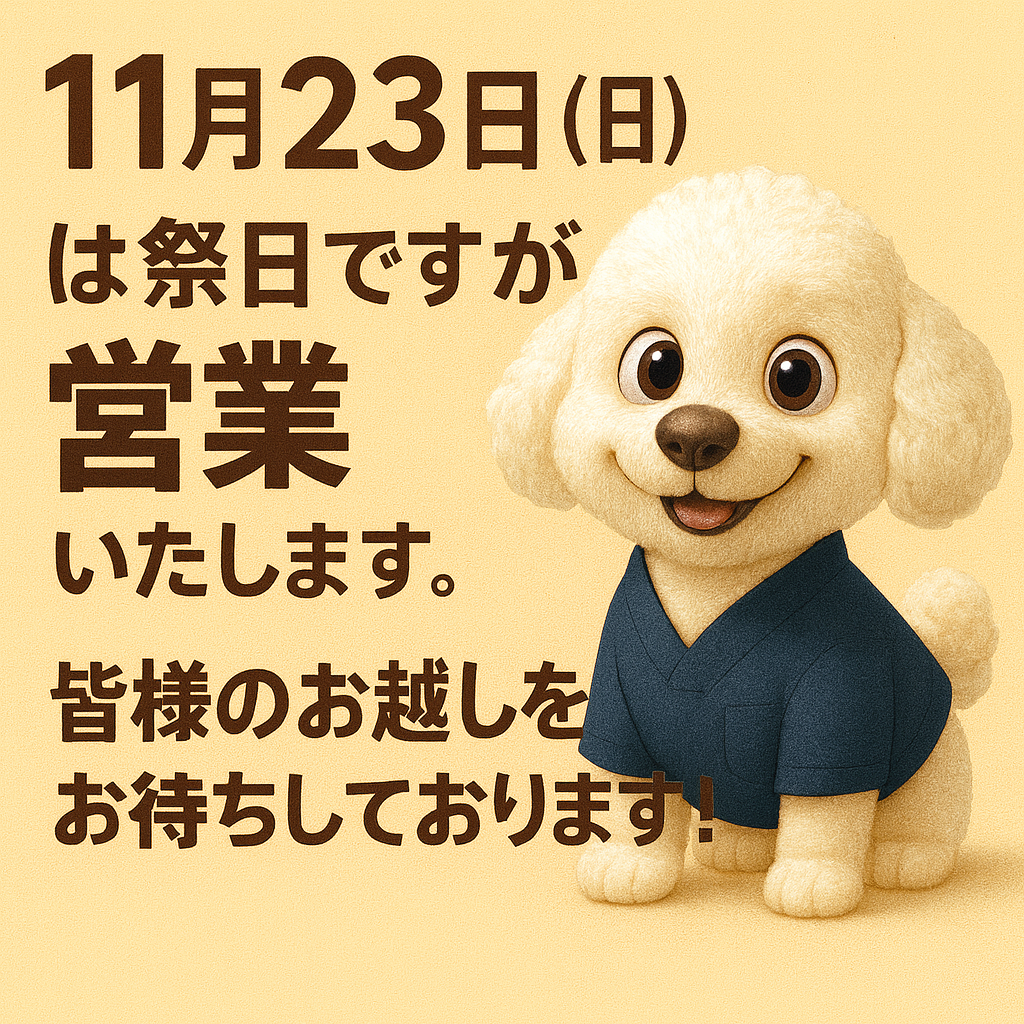 🌿【11月23日（日）勤労感謝の日も営業します！】