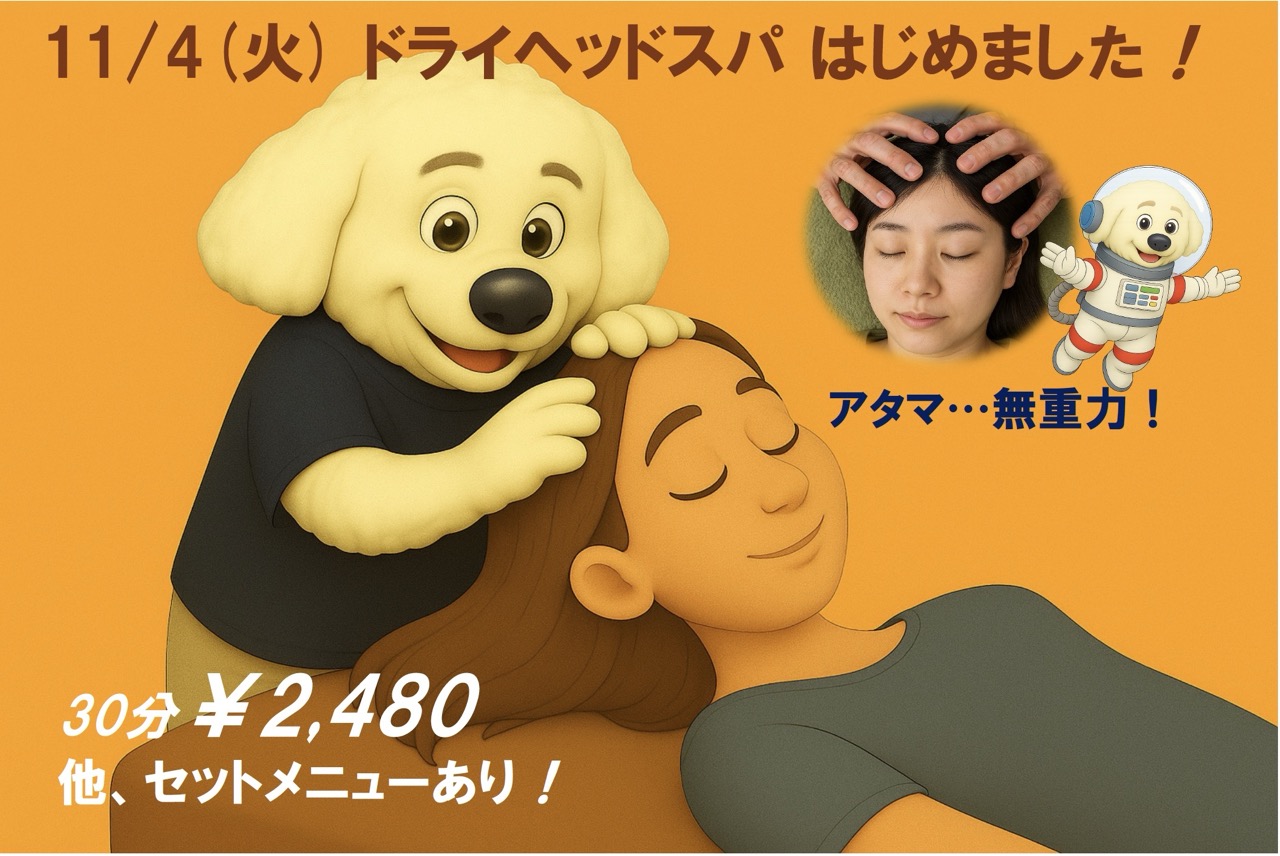 🌙アタマ…無重力！極上ドライヘッドスパ始めました！