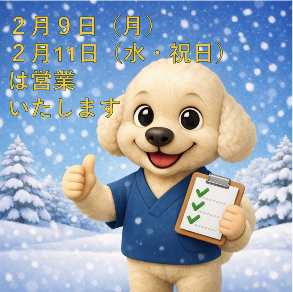 2月の営業についてのお知らせ📢