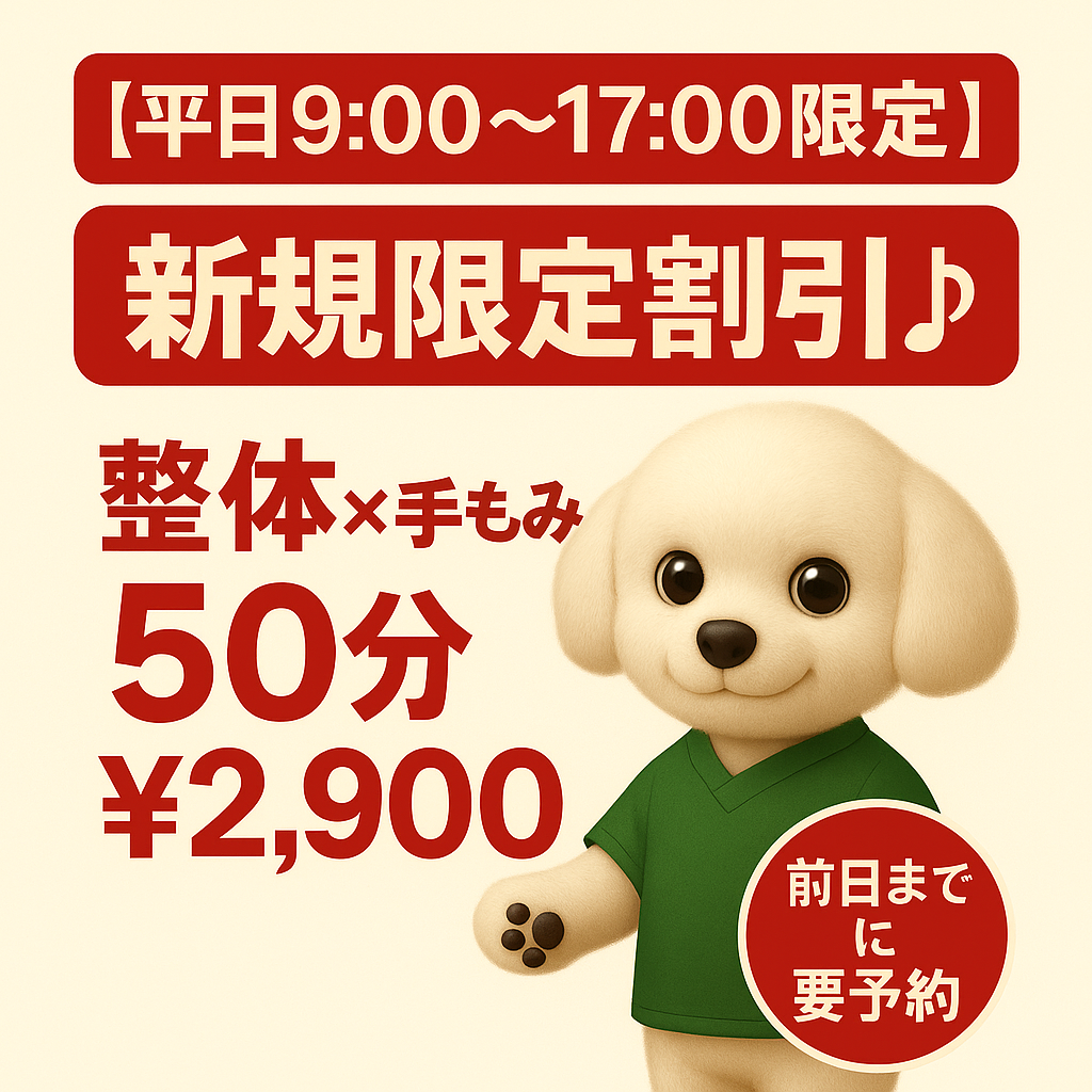 🌿【平日限定】ガチガチの肩・首・背中に！お昼の時間でリセット✨