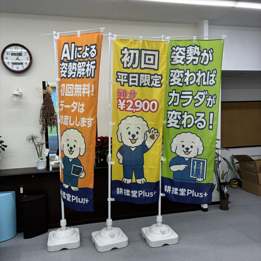 🌿【続報】残りの幟も到着!SOY広報部長フルラインナップでお出迎え中✨