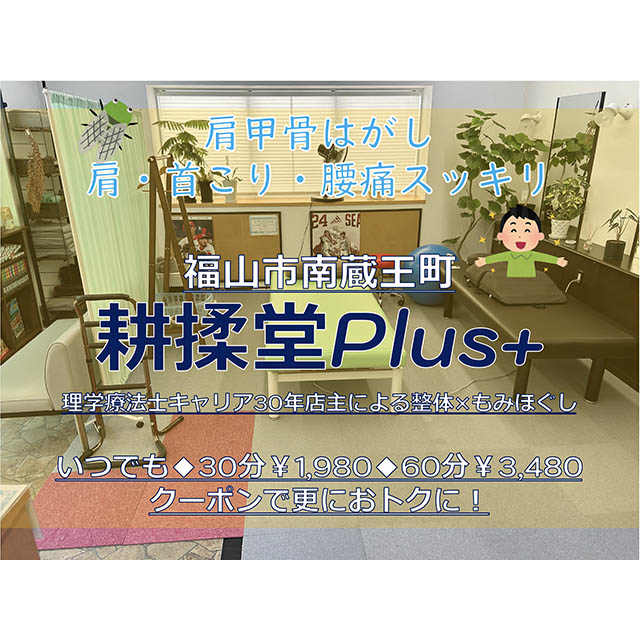 耕揉堂Plus+